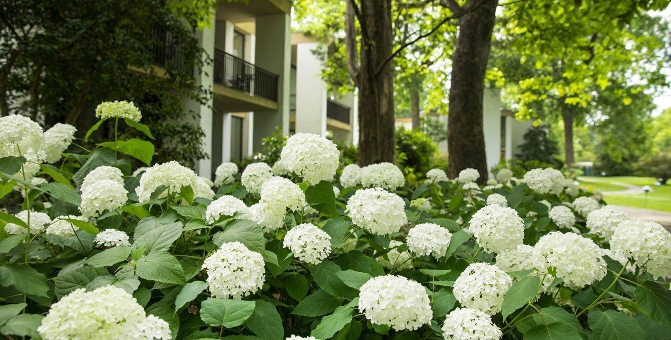 Griffin Hotel, An Official Colonial Williamsburg Hotel Dış mekan fotoğraf